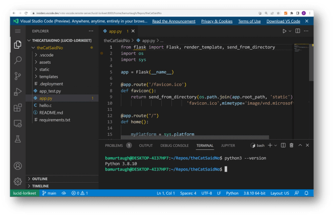 A screenshot demonstrating the server connection established using a desktop client.